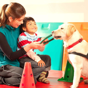 Servicios para niños y niñas con TEA